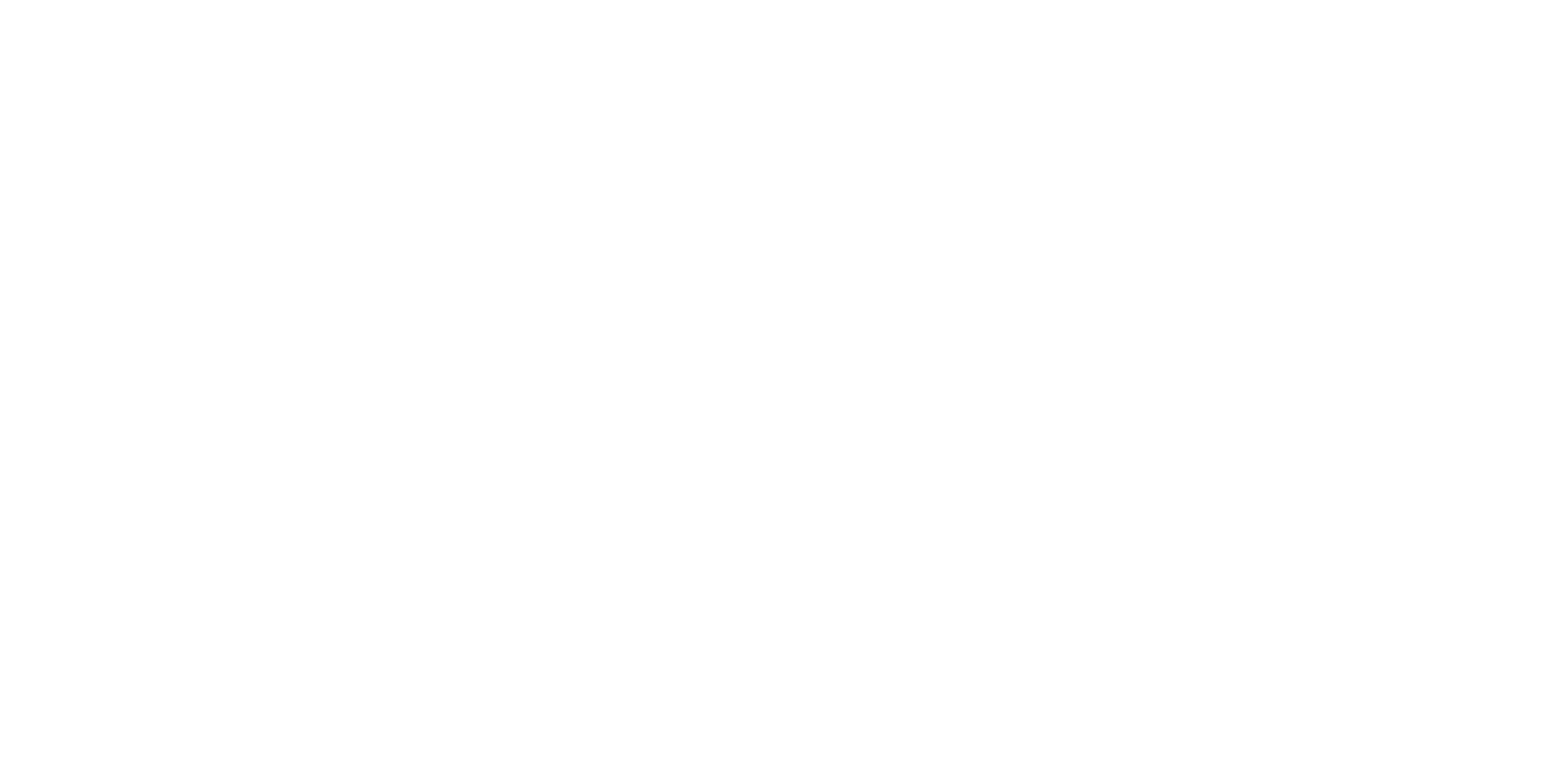 Imagen DVS
